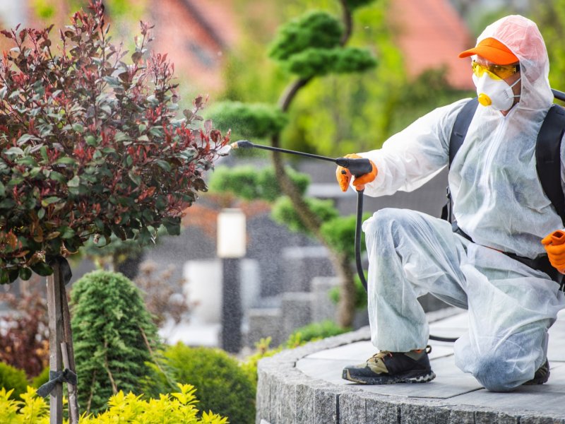 Balya Haşere İlaçlama